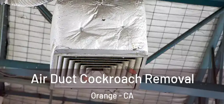 Air Duct Cockroach Removal Orange - CA