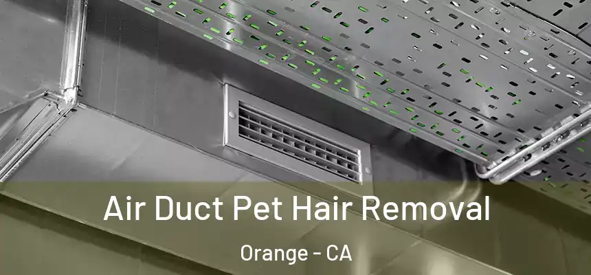 Air Duct Pet Hair Removal Orange - CA