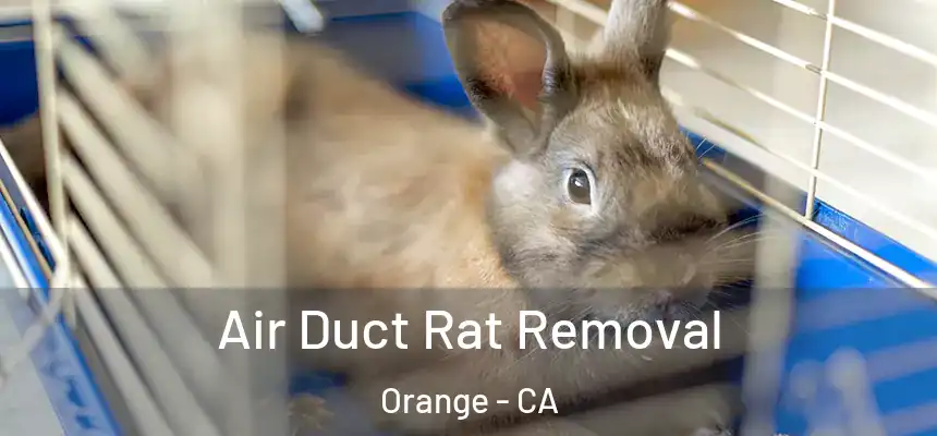 Air Duct Rat Removal Orange - CA
