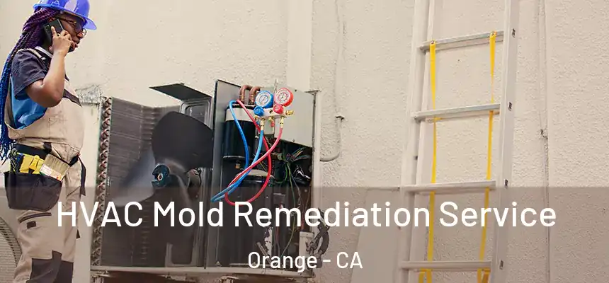  HVAC Mold Remediation Service Orange - CA