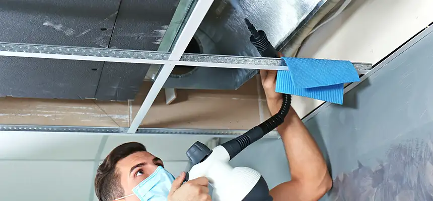 Our Air Duct Rodent Removal Services in Orange, CA