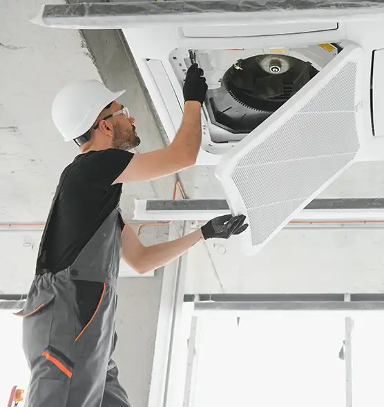 About Air Duct Rodent Removal in Orange, CA