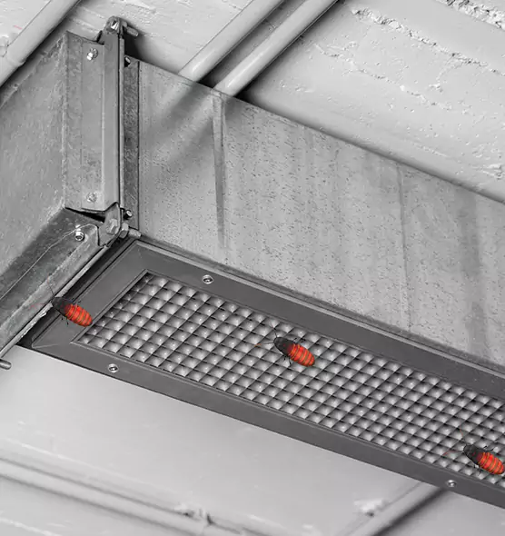 Affordable Insect Removal from Air Ducts in Orange, CA