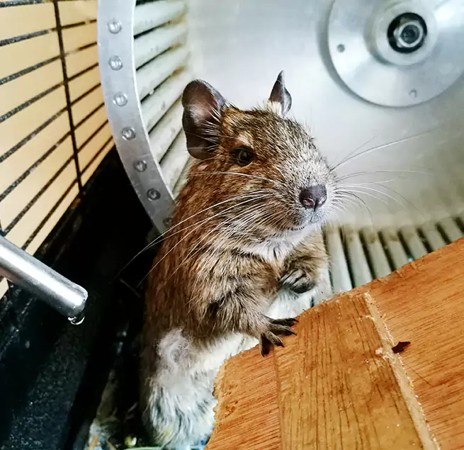 Why Homeowners & Businesses Trust Us Orange, CA